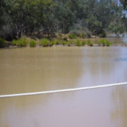 this is taken from the 'new' bridge at Thargomindah where Cobb and Co used to cross the river.