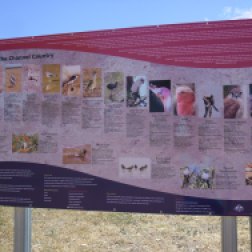 fauna information at riverside camping site near longreach